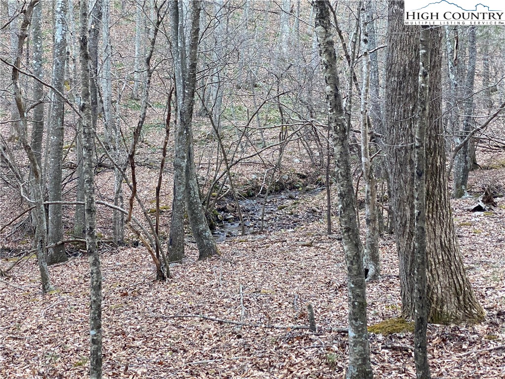 Lot 74 Forest Hill Drive Property Photo 7