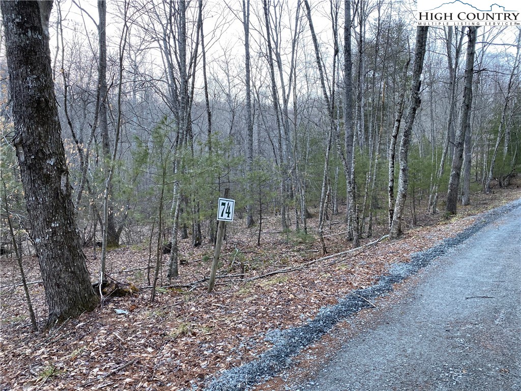 Lot 74 Forest Hill Drive Property Photo 8