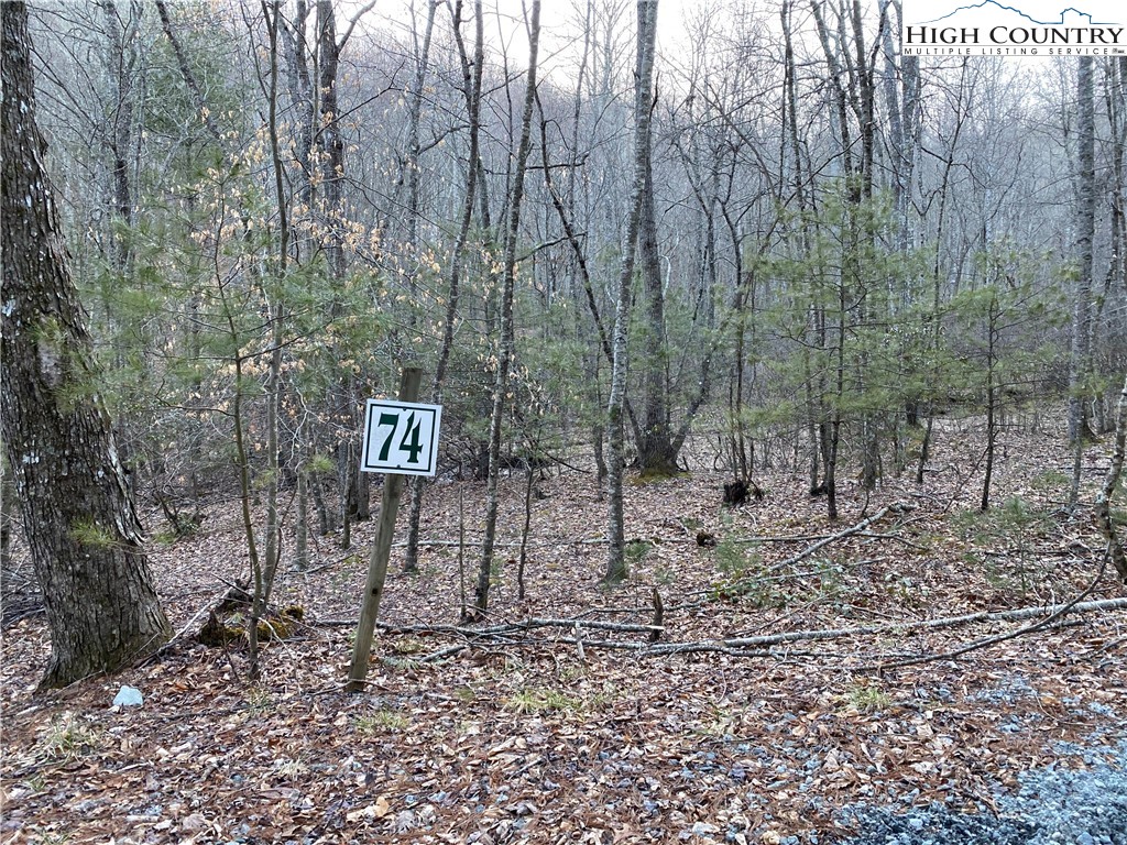 Lot 74 Forest Hill Drive Property Photo 9