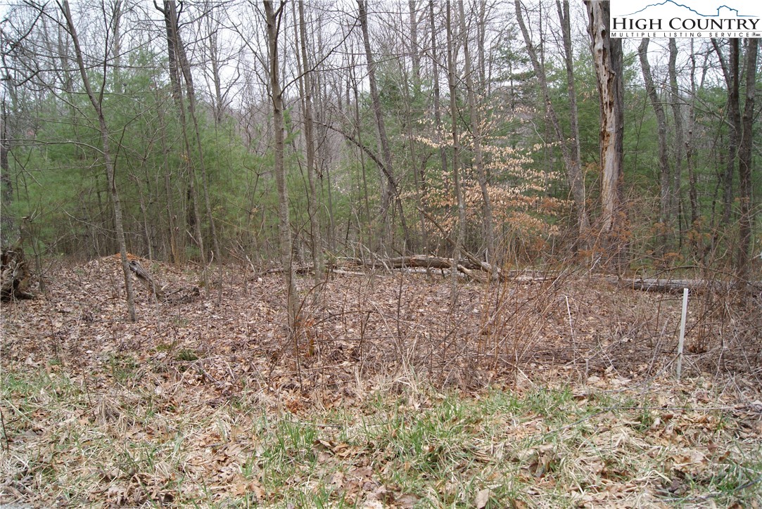 Lot 68 Forest Hill Drive Property Photo 1
