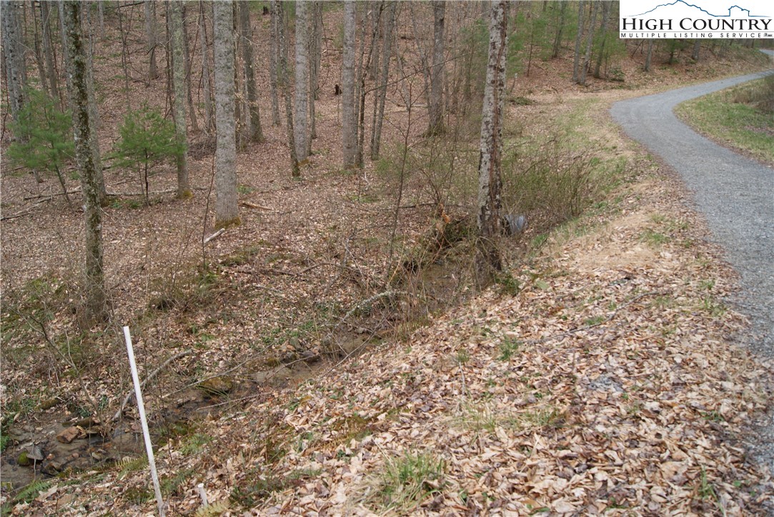 Lot 67 Laurel Mountain Drive Property Photo 2