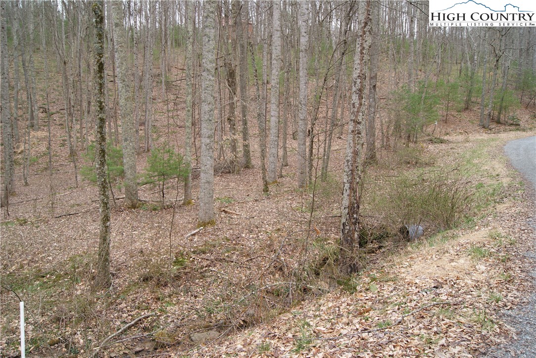 Lot 67 Laurel Mountain Drive Property Photo 3