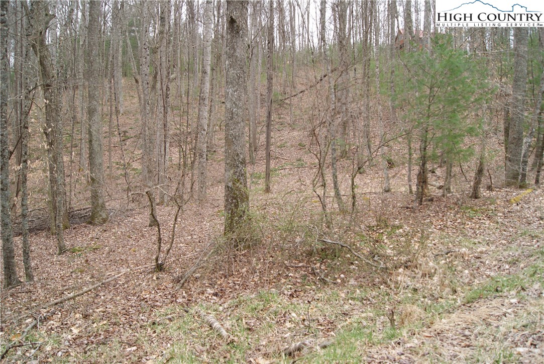Lot 67 Laurel Mountain Drive Property Photo 4