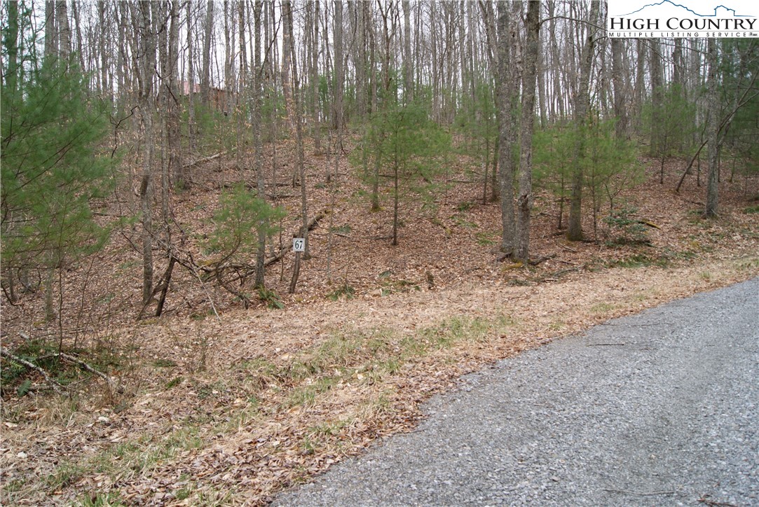 Lot 67 Laurel Mountain Drive Property Photo 5