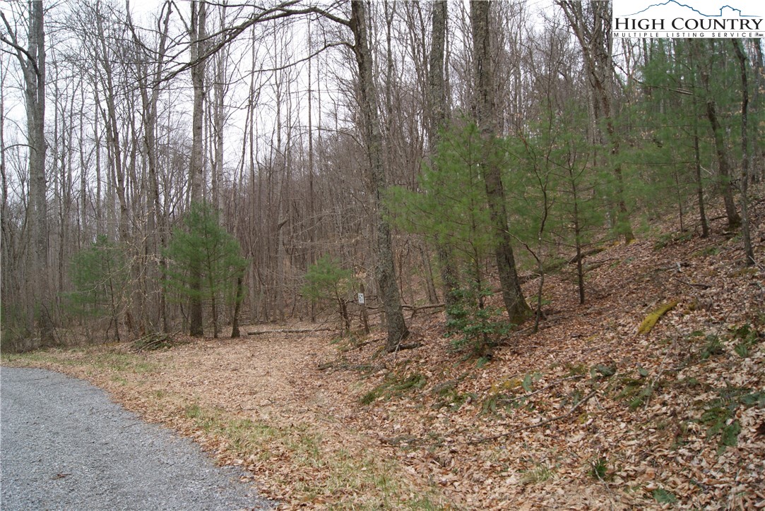 Lot 67 Laurel Mountain Drive Property Photo 6