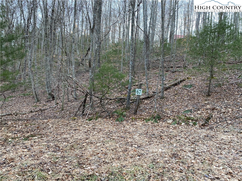 Lot 67 Laurel Mountain Drive Property Photo 7