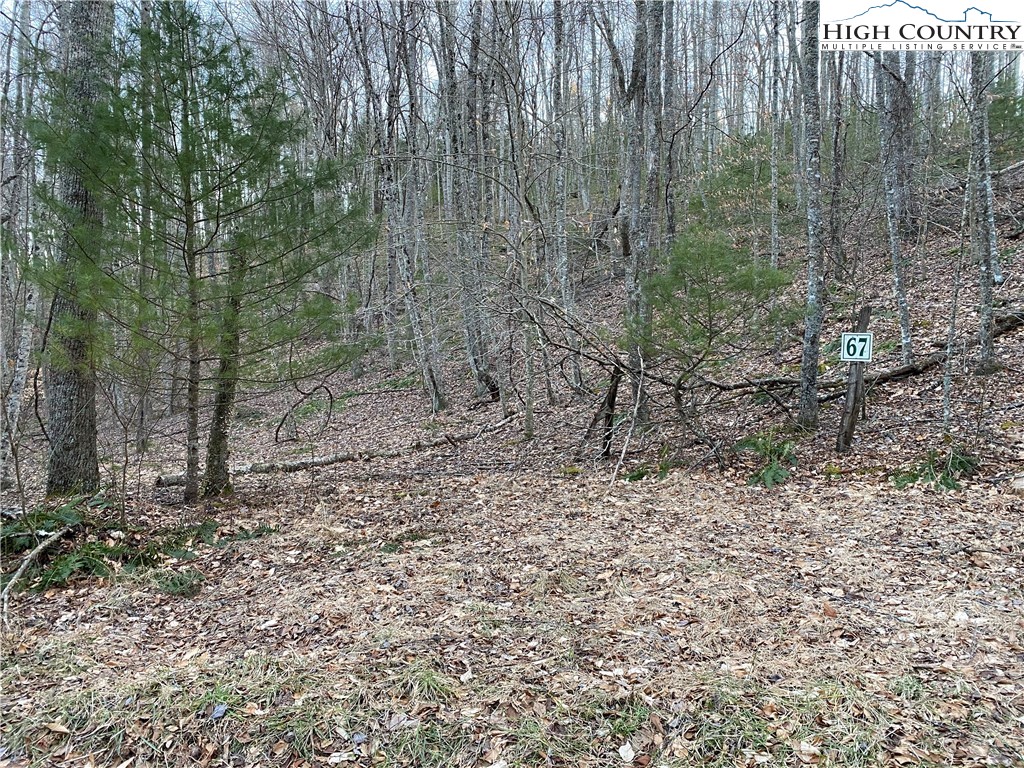 Lot 67 Laurel Mountain Drive Property Photo 8