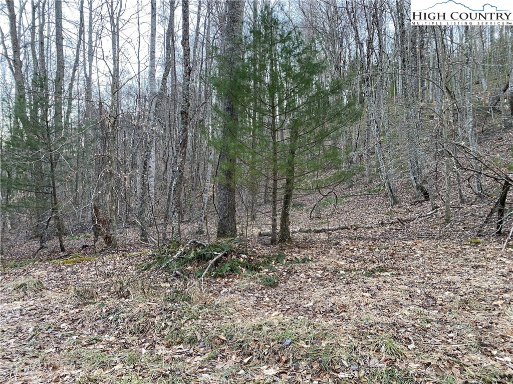 Lot 67 Laurel Mountain Drive Property Photo 9