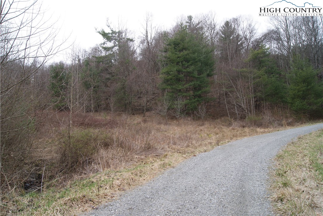Lot 62 Laurel Mountain Drive Property Photo 1