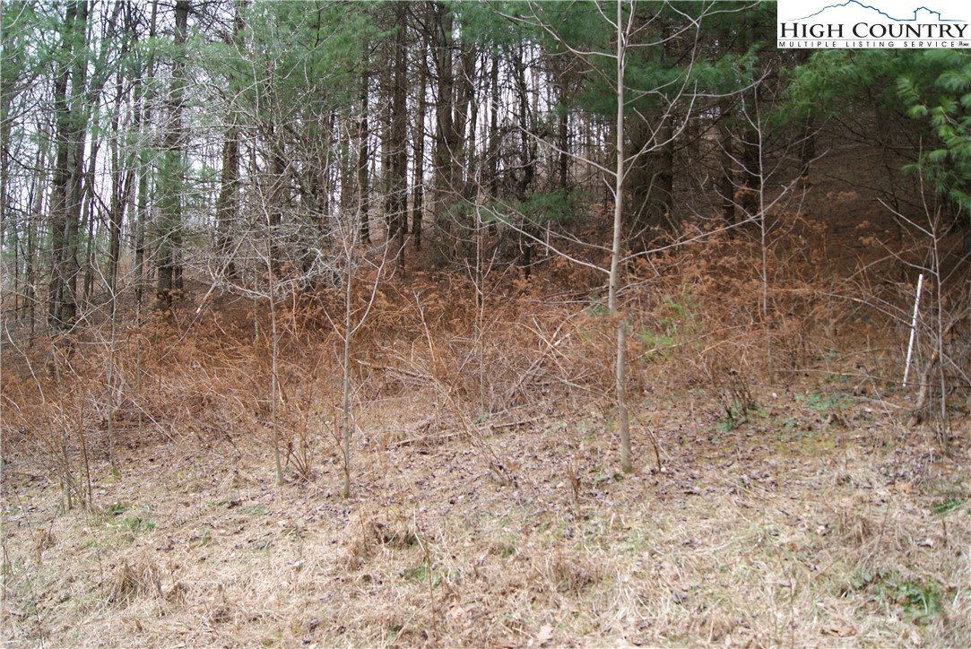 Lot 62 Laurel Mountain Drive Property Photo 2