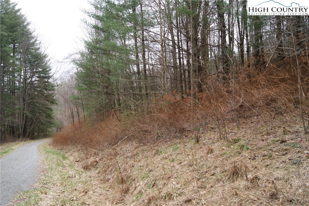 Lot 62 Laurel Mountain Drive Property Photo 3