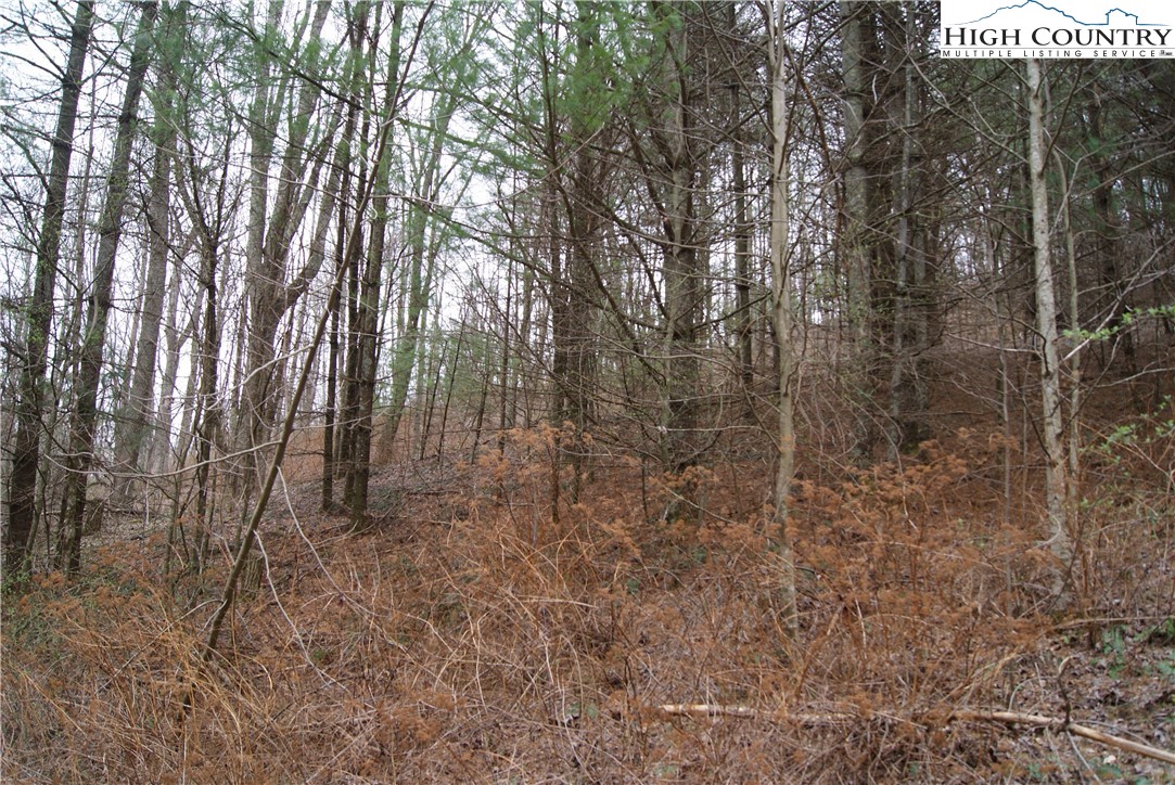 Lot 62 Laurel Mountain Drive Property Photo 4
