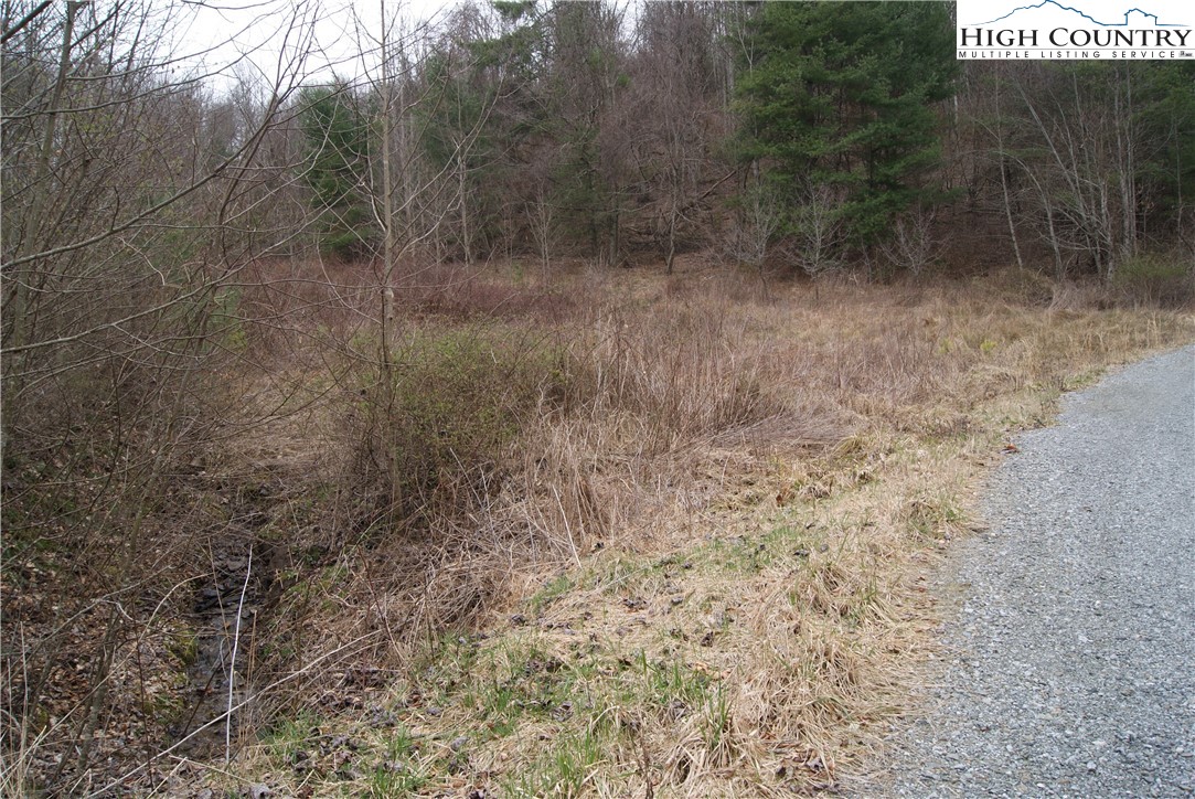 Lot 62 Laurel Mountain Drive Property Photo 5