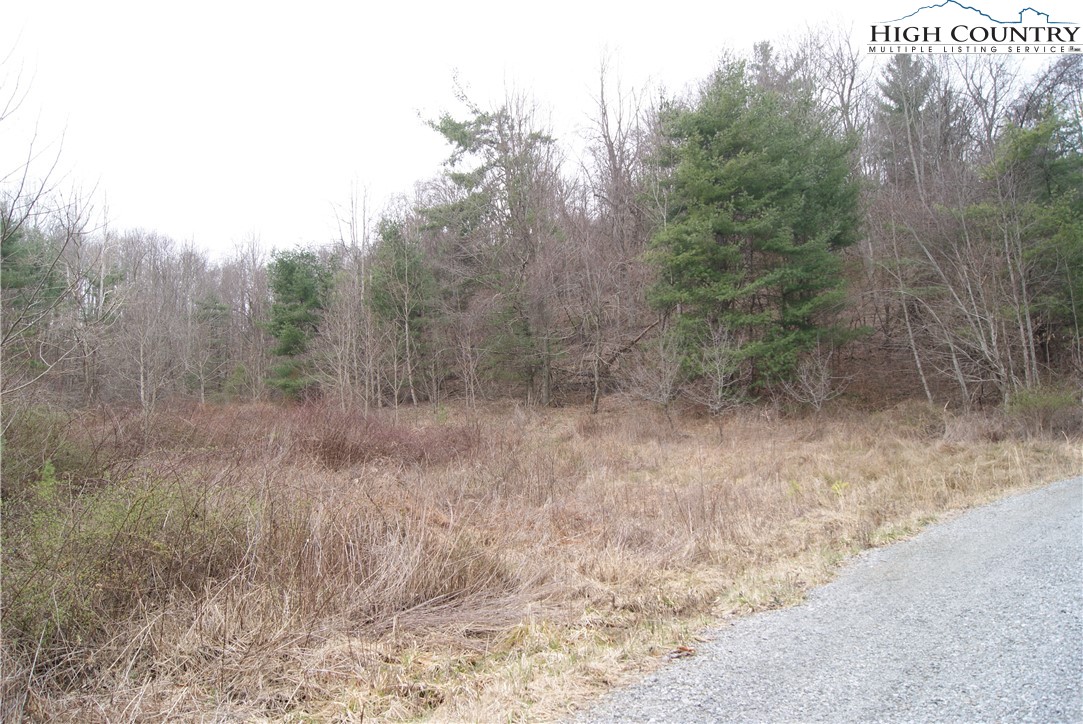 Lot 62 Laurel Mountain Drive Property Photo 6