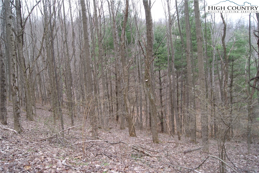 Lot 61 Forest Hill Drive Property Photo 1