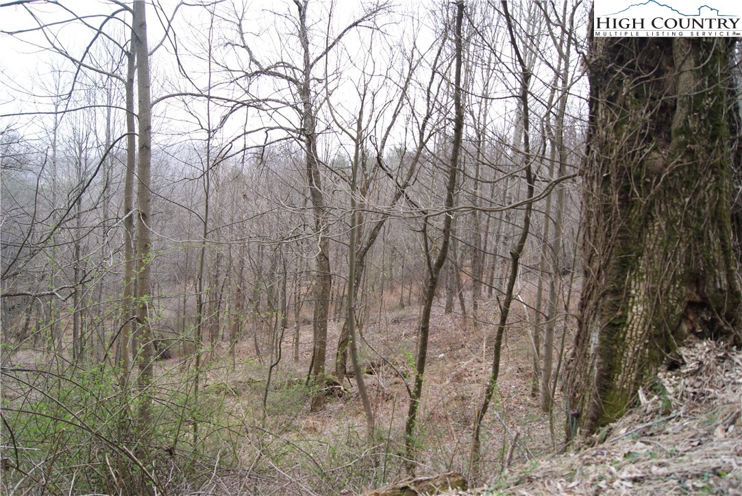 Lot 57 Toms Knob Road Property Photo 1