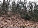 116 Red Fox Lane Property Photo 2