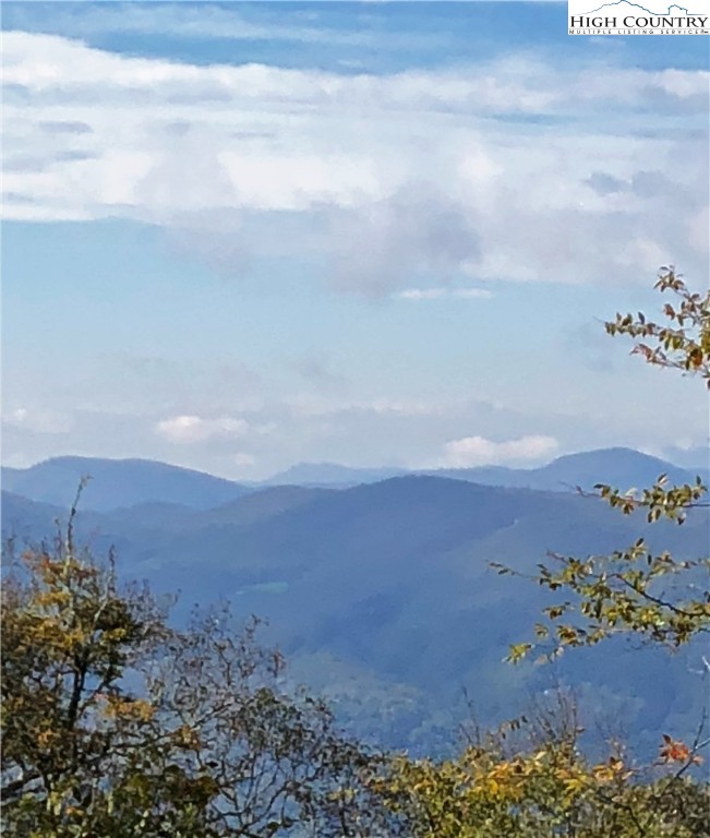 8 Silver Fox Trail