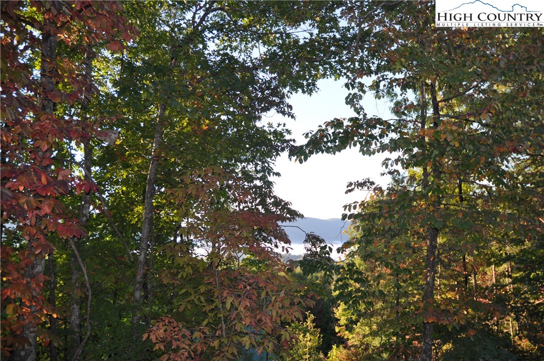 TBD Sampson Road Property Photo 1