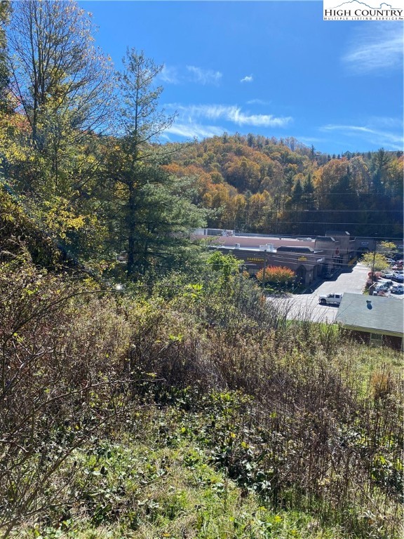 Tbd Nc-105 Highway Property Photo 1