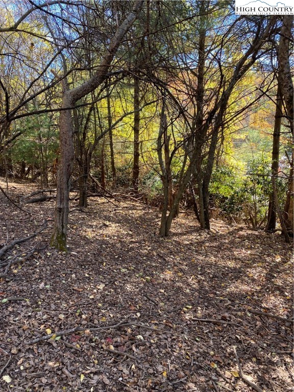 Tbd Nc-105 Highway Property Photo 3
