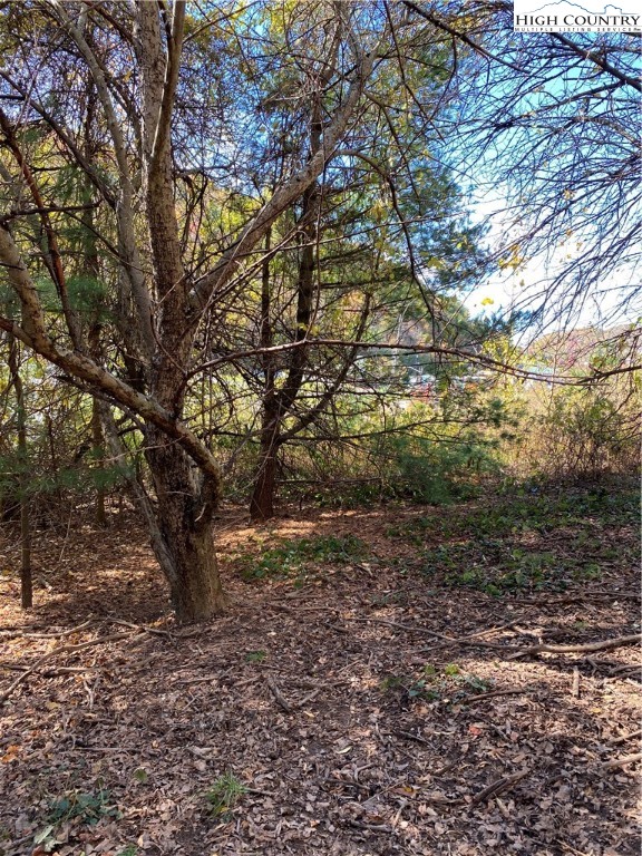 Tbd Nc-105 Highway Property Photo 4