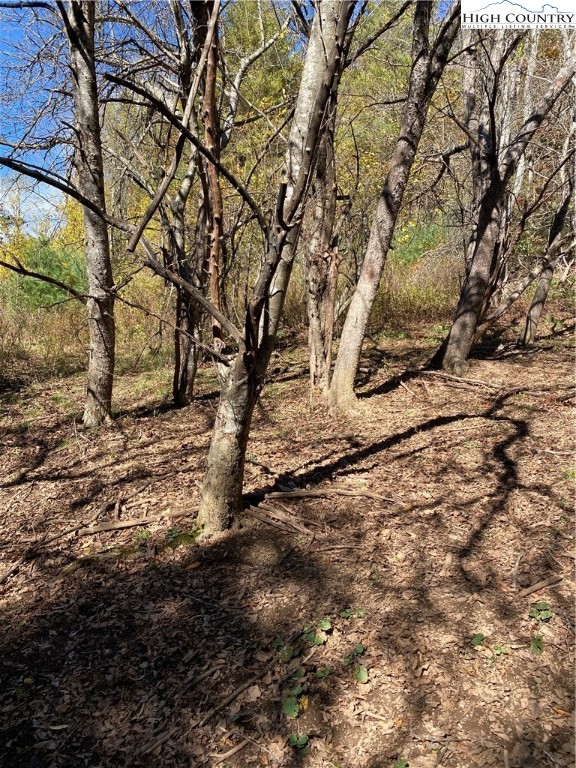 Tbd Nc-105 Highway Property Photo 5