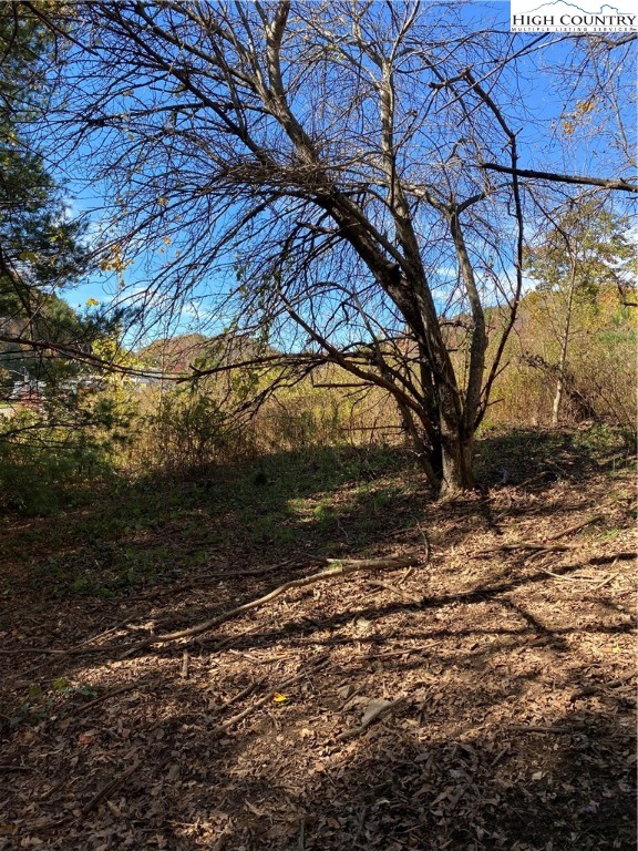 Tbd Nc-105 Highway Property Photo 6