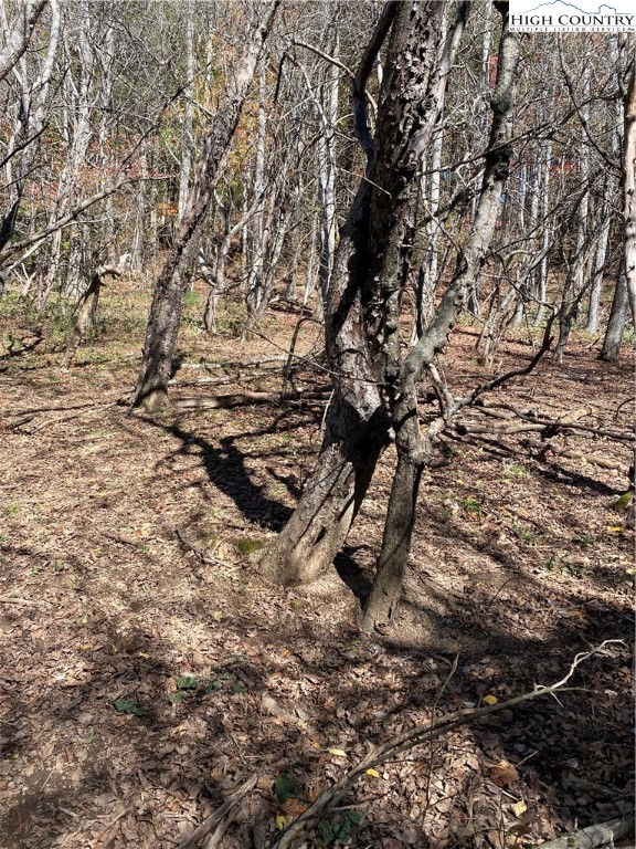 Tbd Nc-105 Highway Property Photo 7