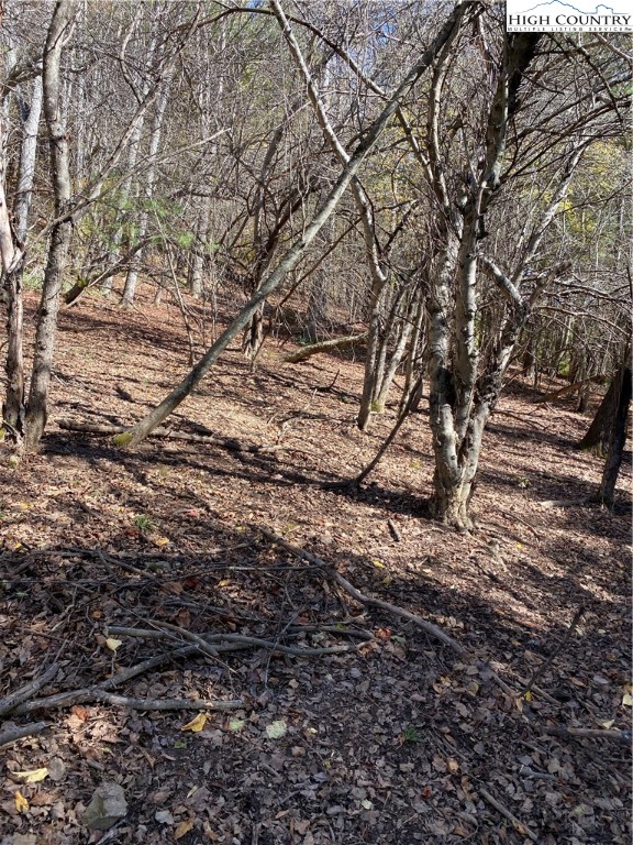 Tbd Nc-105 Highway Property Photo 8