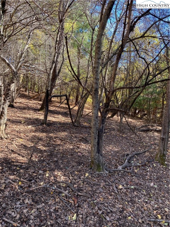 Tbd Nc-105 Highway Property Photo 9