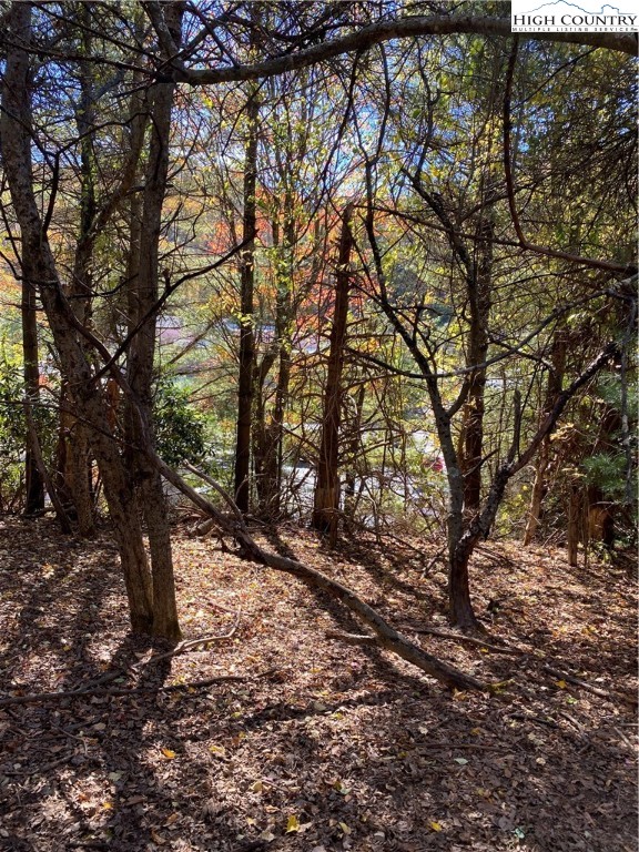 Tbd Nc-105 Highway Property Photo 10
