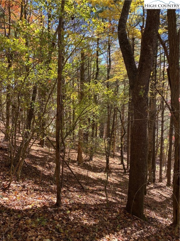 Tbd Nc-105 Highway Property Photo 11