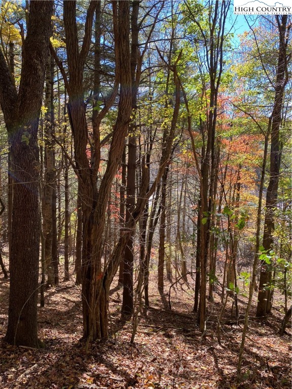 Tbd Nc-105 Highway Property Photo 12