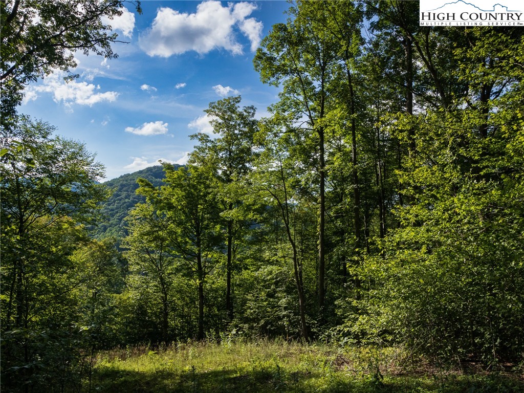 Tbd Lot 14 Solitude Ln Property Photo 10