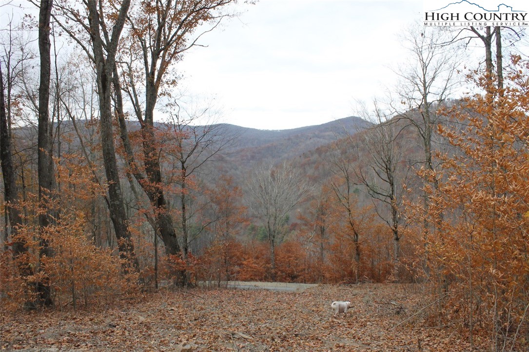 Tbd Lot 14 Solitude Ln Property Photo 13