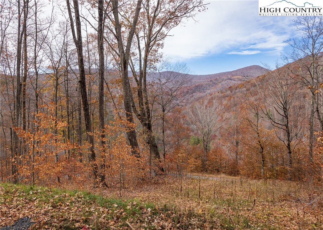 Tbd Lot 14 Solitude Ln Property Photo 14