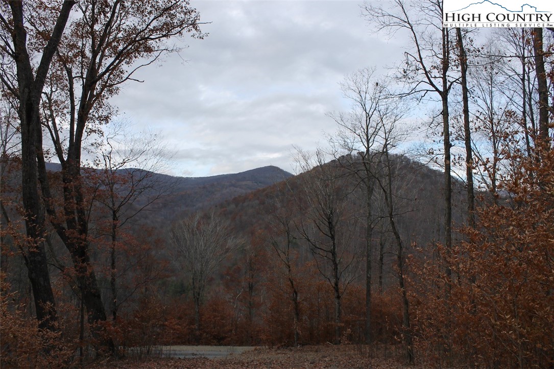 Tbd Lot 14 Solitude Ln Property Photo 15