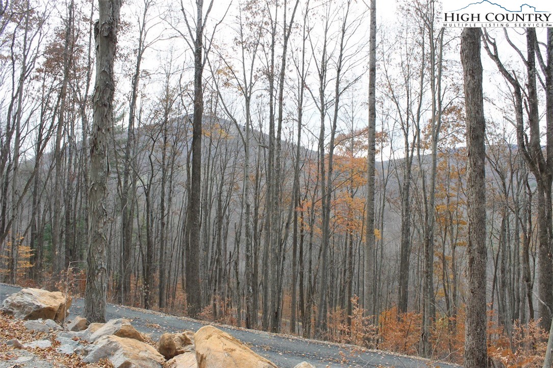 Tbd Lot 14 Solitude Ln Property Photo 18