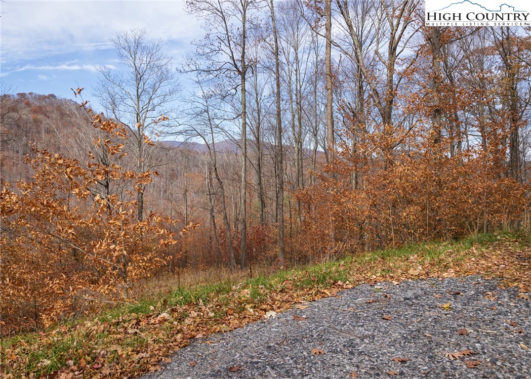 Tbd Lot 14 Solitude Ln Property Photo 19