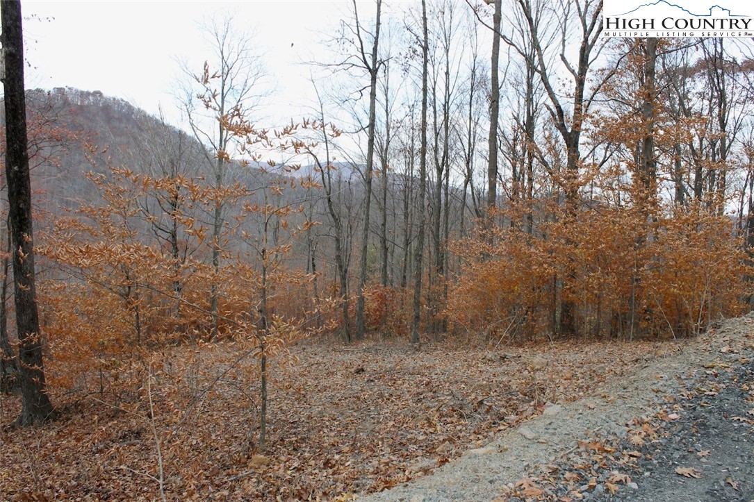 Tbd Lot 14 Solitude Ln Property Photo 22