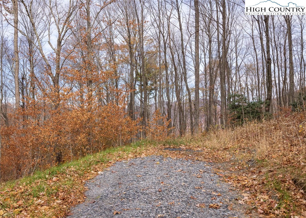 Tbd Lot 14 Solitude Ln Property Photo 23