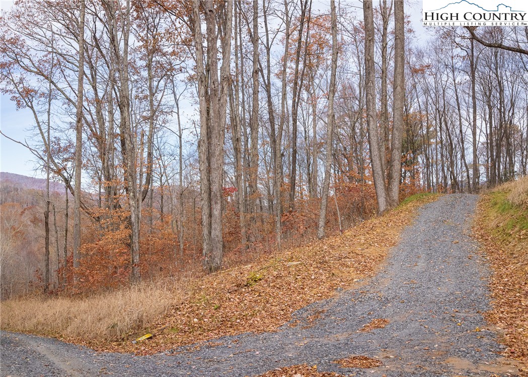 Tbd Lot 14 Solitude Ln Property Photo 24
