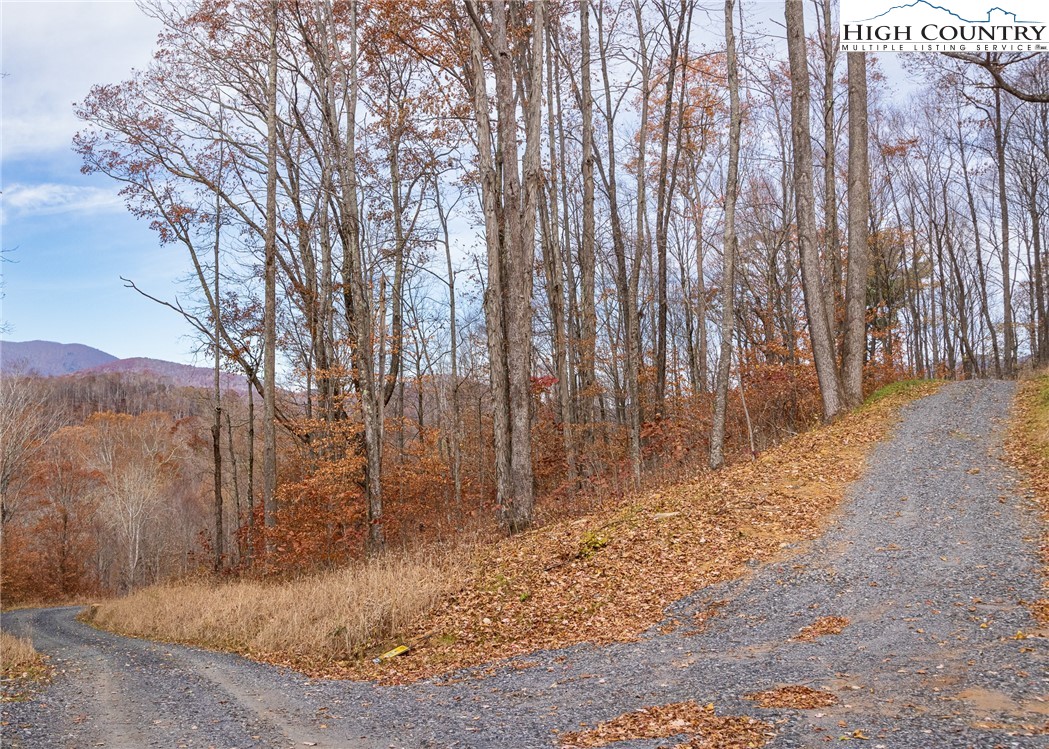 Tbd Lot 14 Solitude Ln Property Photo 25