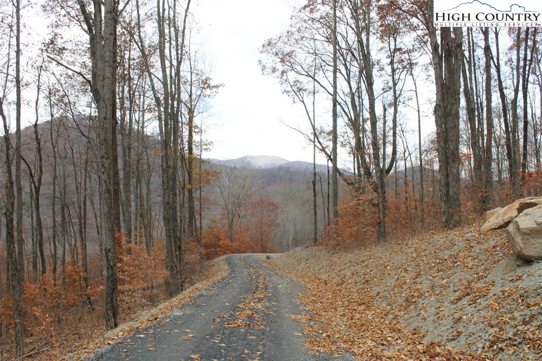 Tbd Lot 14 Solitude Ln Property Photo 27
