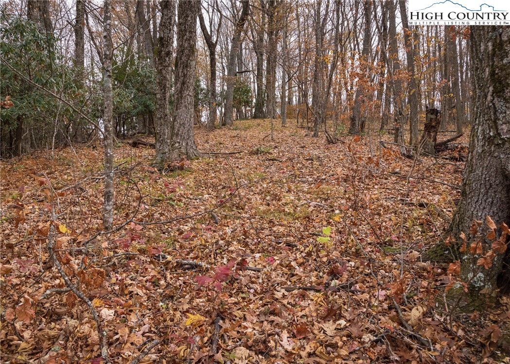 Tbd Lot 14 Solitude Ln Property Photo 31