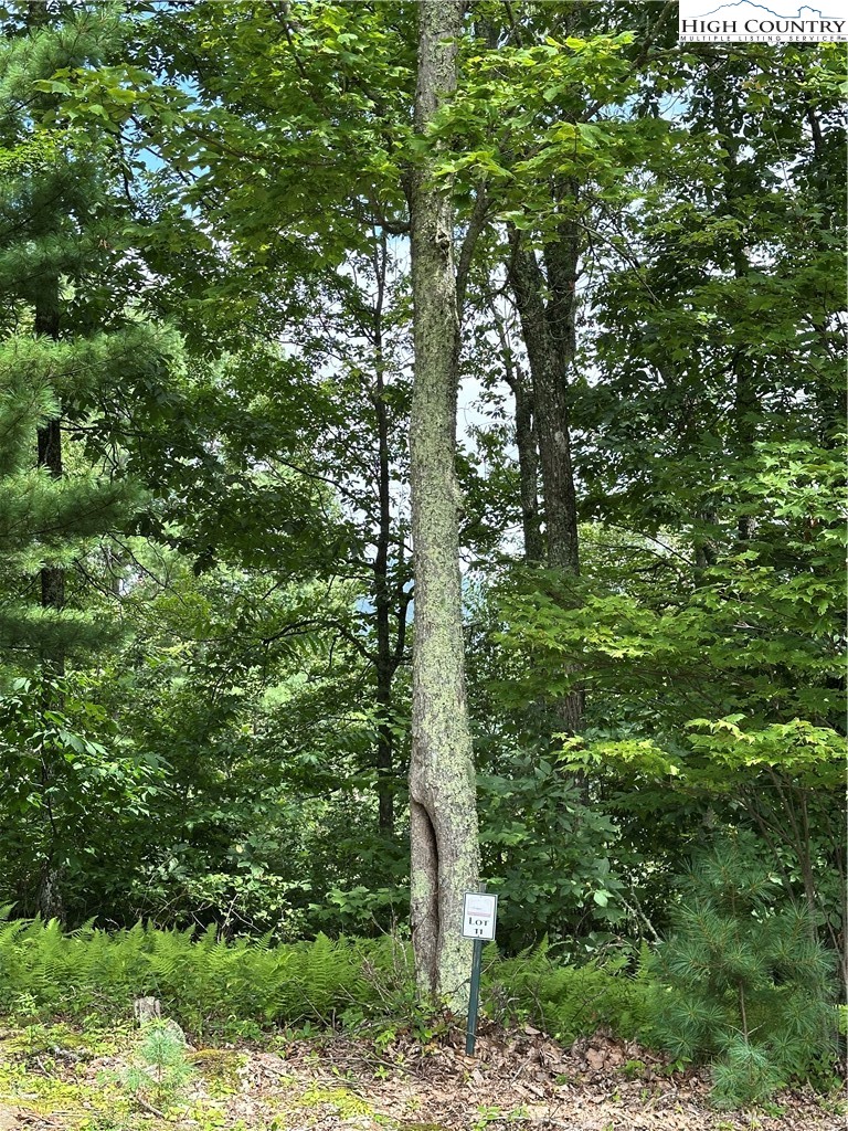 Two Lots: 9 & 10 Sunset Ridge Drive Property Photo 6