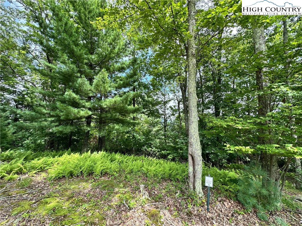 Two Lots: 9 & 10 Sunset Ridge Drive Property Photo 7