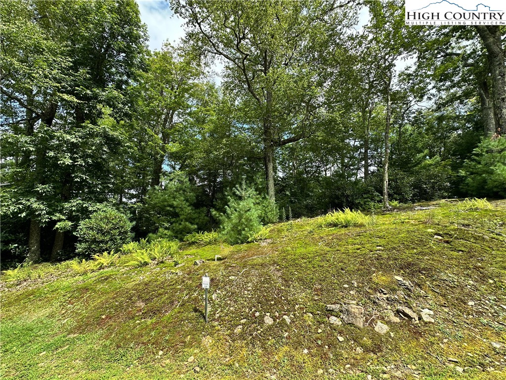 Two Lots: 9 & 10 Sunset Ridge Drive Property Photo 8