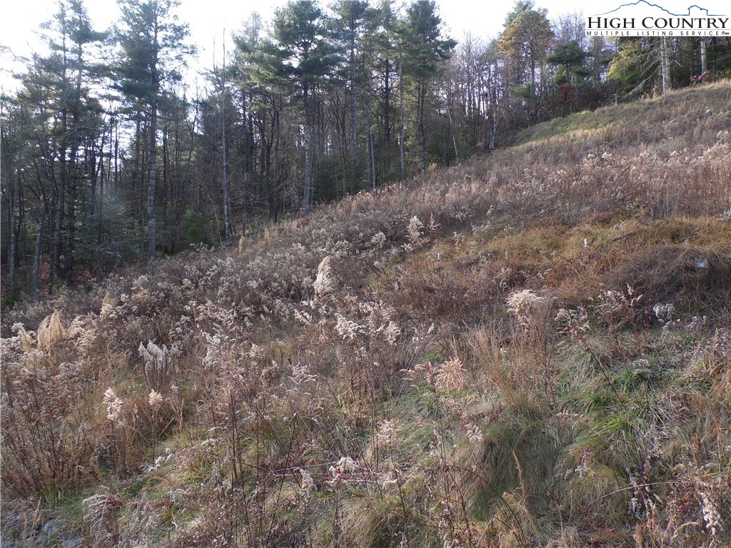 4143 Mountain View Road Property Photo 10